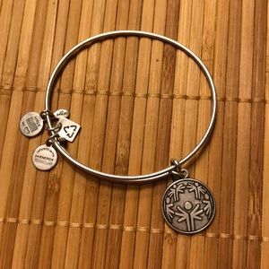 Alex and Ani bangle bracelet
